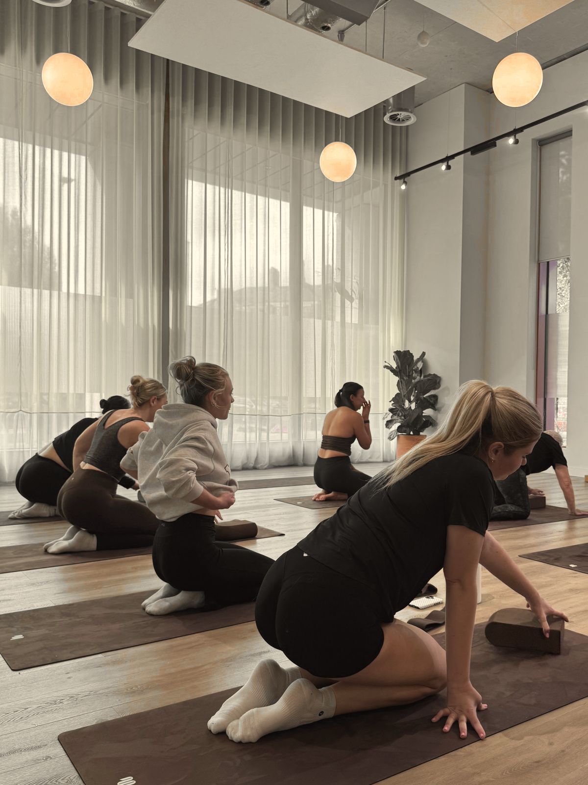 The class kneeling on their mats under globe lights, moving through the same sequence together